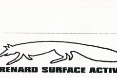 renard-2-scaled